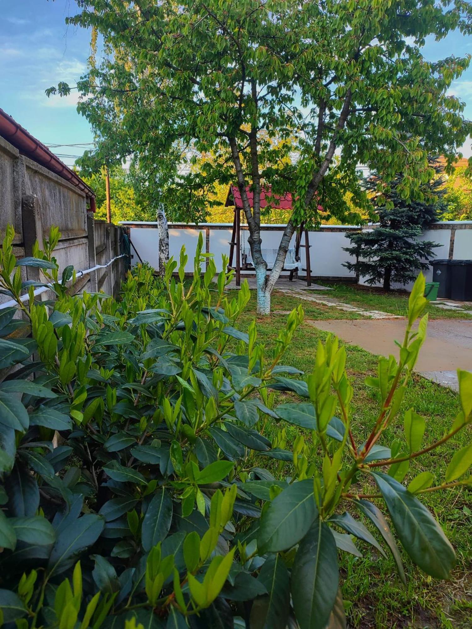 Apartmán Courtyard Studio Oradea Exteriér fotografie