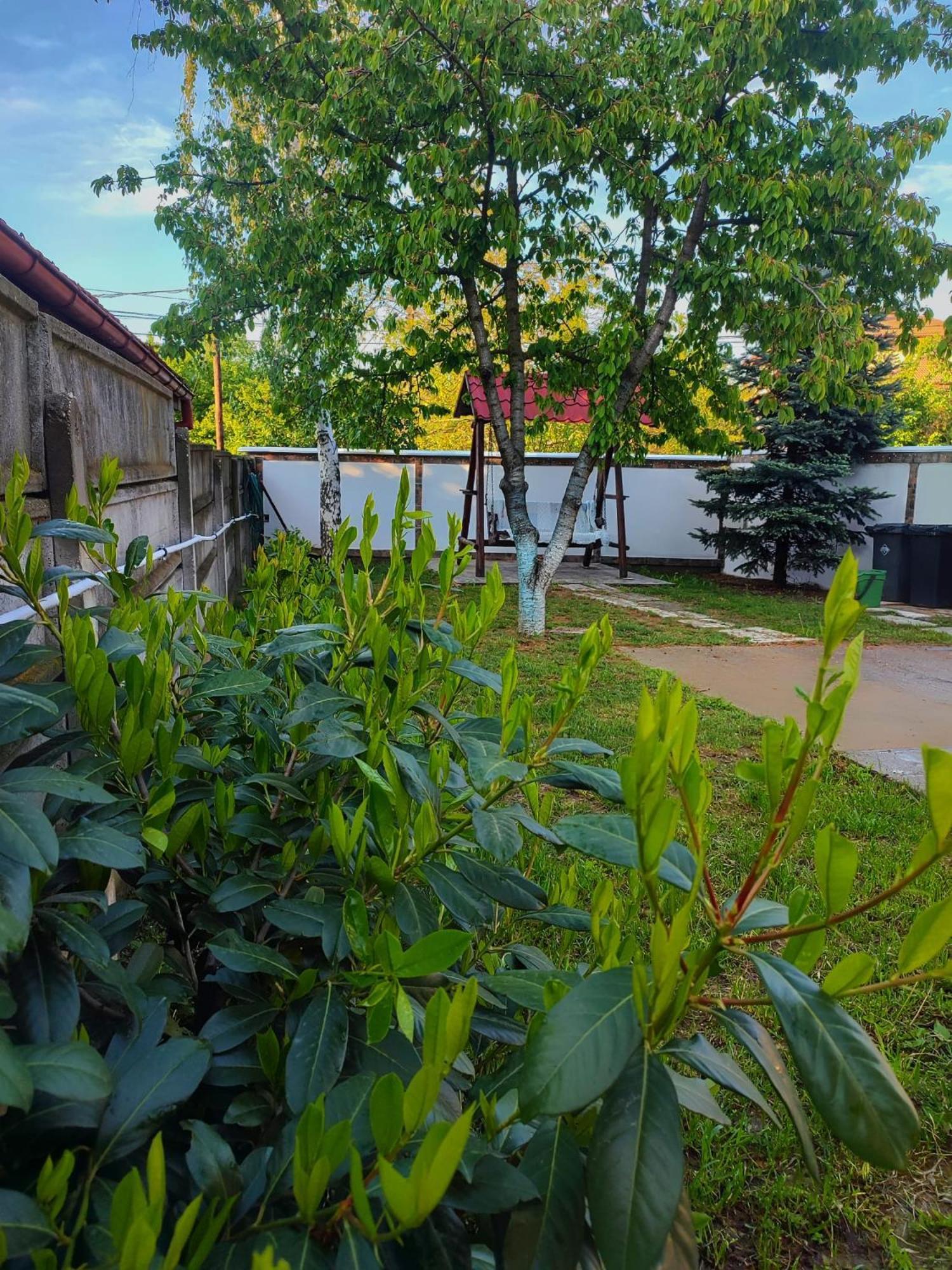 Courtyard Studio Oradea Exteriér fotografie